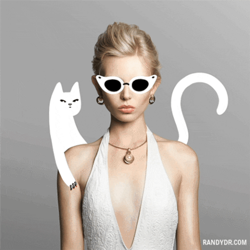 White Cat Art With A Model GIF