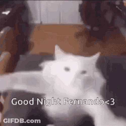 White Cat Bye Meme GIF