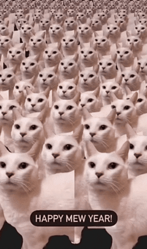 White Cat Cloning New Year GIF