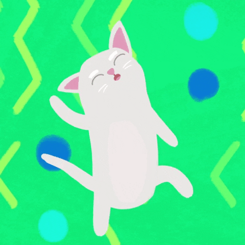 White Cat Dancing Happily GIF