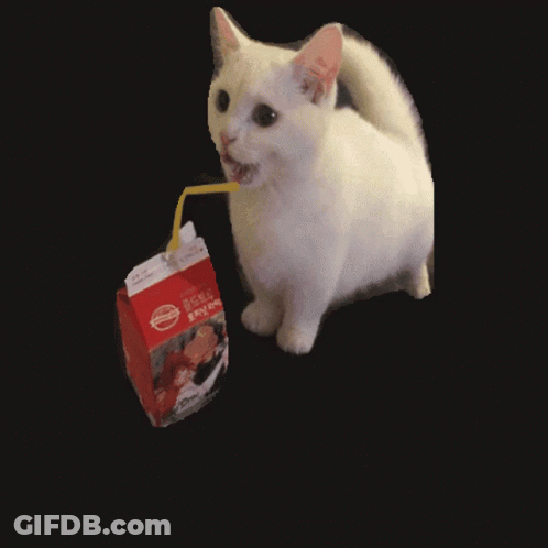 White Cat Drinking Milk With Straw GIF
