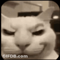 White Cat Eyes Closed Smiling GIF
