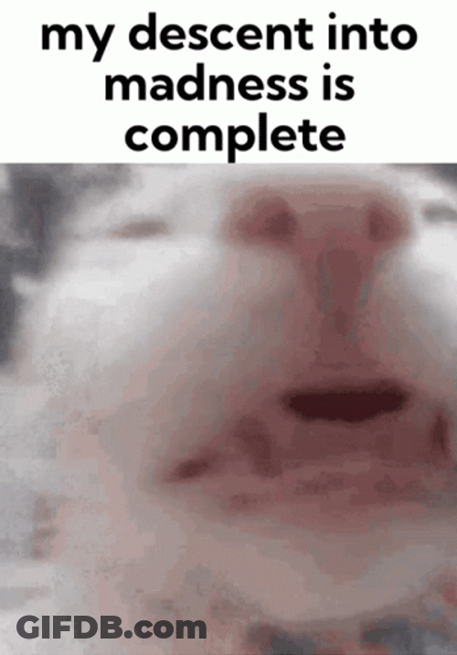 White Cat Getting Insane GIF
