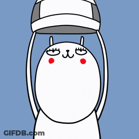 White Cat Holding Baseball Cap Over Head GIF