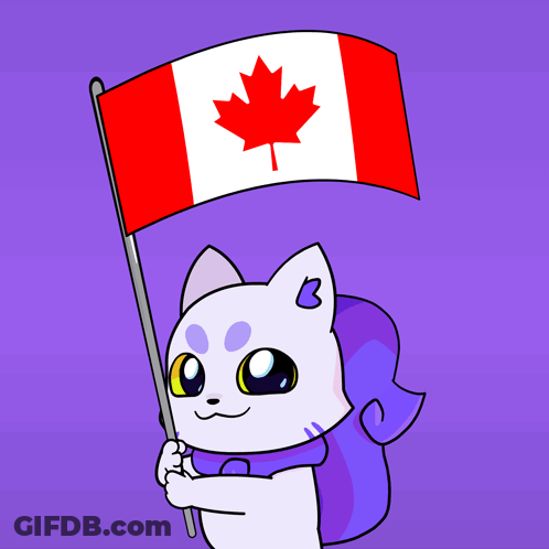 White Cat Holding Canadian Flag GIF