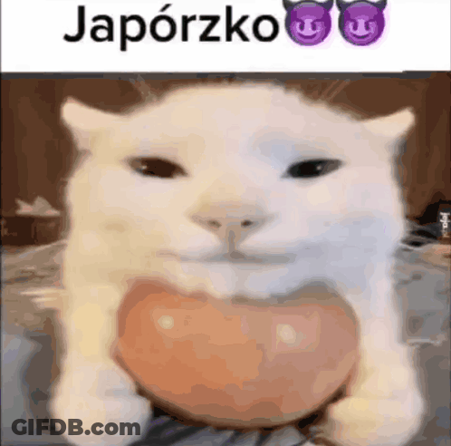 White Cat Holding Heart Shaped Object Smiling GIF
