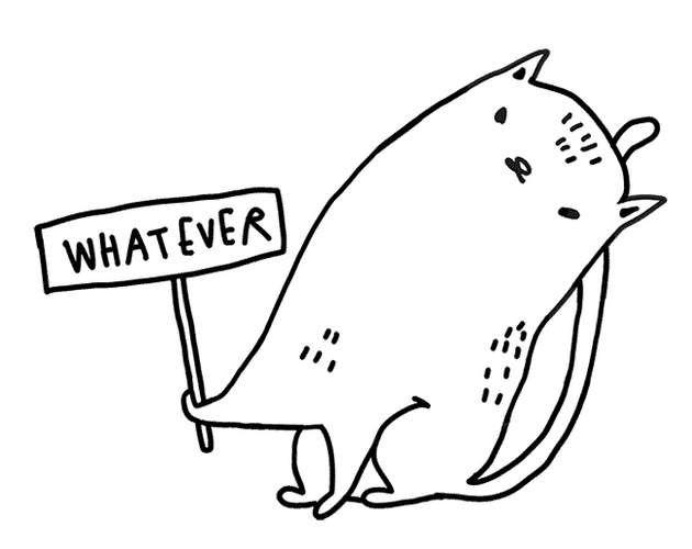White Cat Holding Whatever Banner GIF