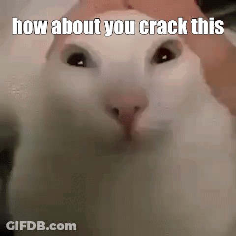 White Cat How About You Crack This GIF