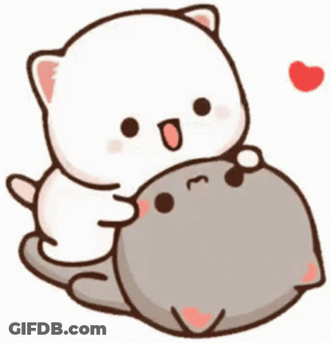White Cat Hugging Gray Cat With Red Heart GIF
