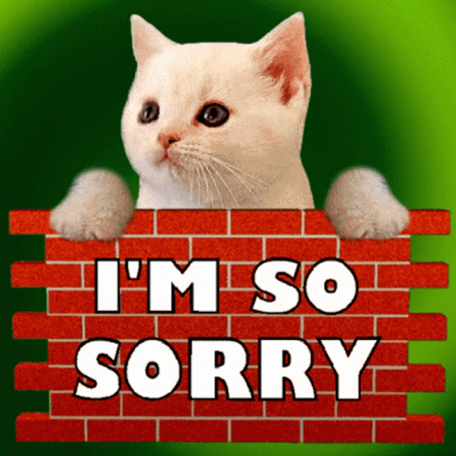 White Cat I Am Sorry GIF