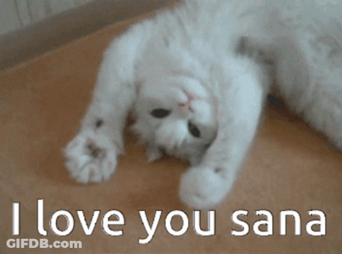 White Cat I Love You Sana GIF