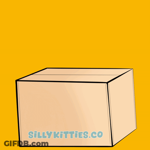 White Cat In Cardboard Box Sillykitties.co GIF