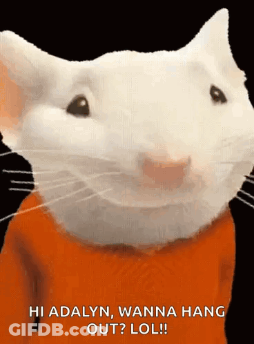 White Cat In Orange Shirt Saying Hi Adalyn Wanna Hang Out LOL GIF