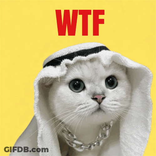 White Cat In Sheikh Hat And Habibi Necklace GIF