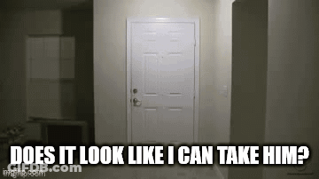 White Cat In Sunglasses Saying Sounds Good To Me GIF