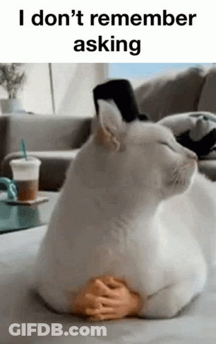 White Cat In Top Hat Laying On Couch With Toy Hand GIF