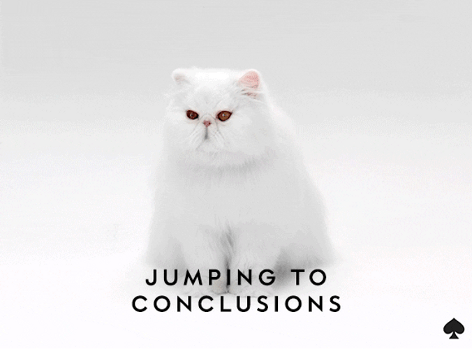White Cat Jumping On Conclusion GIF