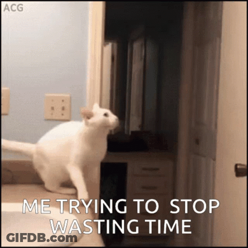 White Cat Jumping Over Sink Saying Me Trying To Stop Wasting Time GIF