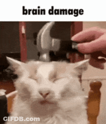 White Cat Laying As Person Puts Object On Head GIF