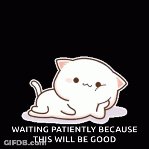 White Cat Laying Down Waiting Patiently Because This Will Be Good GIF
