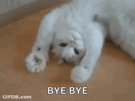 White Cat Laying On Back Saying Bye Bye GIF