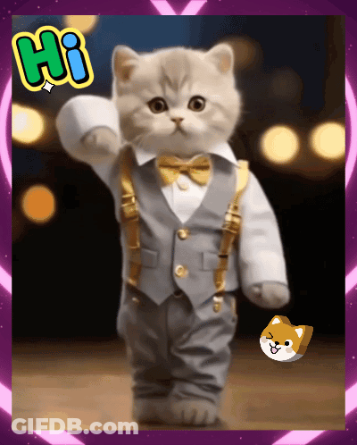 White Cat Laying On Back Saying Hai Yama GIF