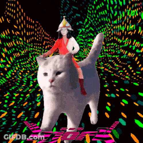 White Cat Laying On Back Saying Love You Too GIF