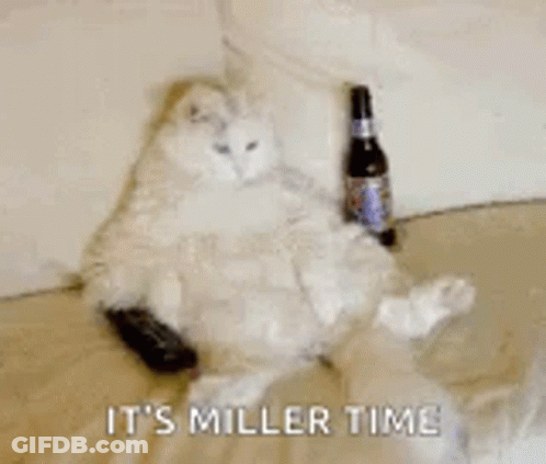 White Cat Laying On Couch With Bottle Saying It's Miller Time GIF