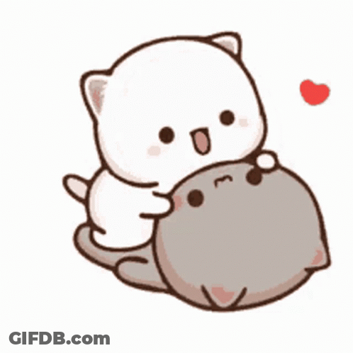 White Cat Laying On Gray Cat With Heart GIF