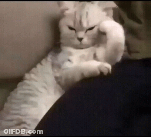 White Cat Laying On Lap Making Fist With Paw GIF