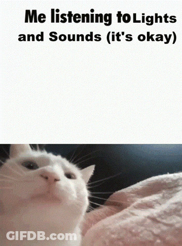 White Cat Listening To Lights And Sounds GIF