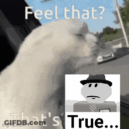 White Cat Looking Out Window Feel That True GIF
