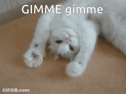 White Cat Lying On Back Gimme Gimme GIF