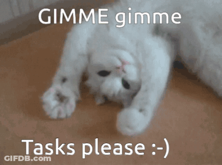 White Cat Lying On Back Gimme Gimme Tasks GIF