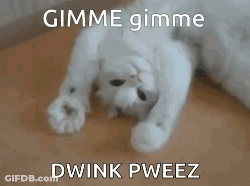 White Cat Lying On Back Saying Gimme Dwink GIF