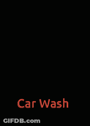 White Cat Lying On Black Cloth Car Wash GIF