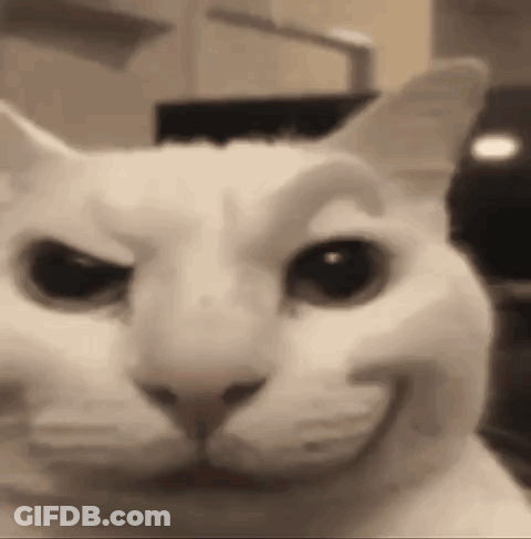 White Cat Making Funny Face With Mouth Open GIF