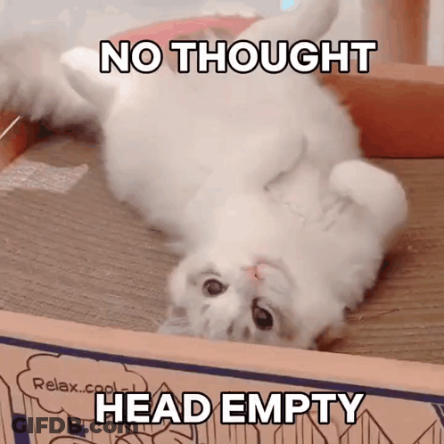 White Cat On Back No Thought Head Empty GIF