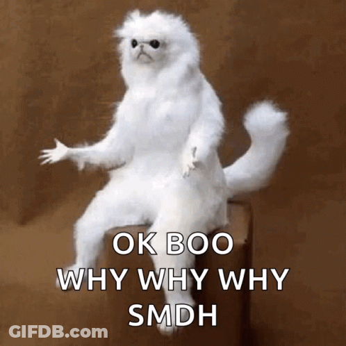 White Cat On Box Ok Boo Why Why Why Smdh GIF
