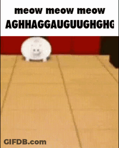 White Cat On Cardboard Meow Meow Meow Aghhaggauuughhghg GIF
