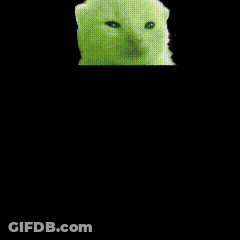 White Cat On Green Background GIF