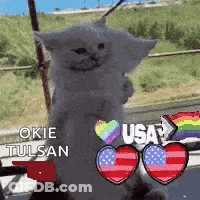 White Cat On Hind Legs With Rainbow Flag And Hearts GIF