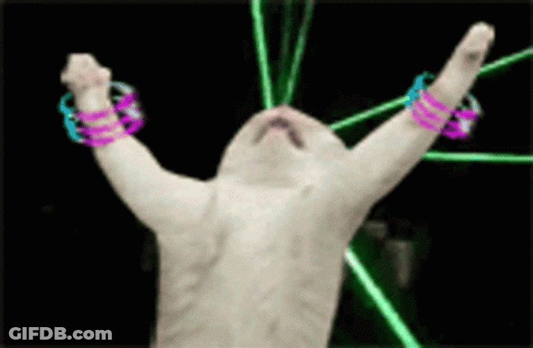 White Cat Party Laser Light GIF