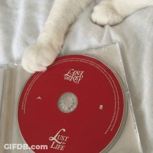White Cat Paw On Lana Del Rey Lust For Life CD GIF