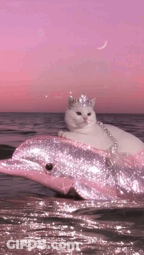 White Cat Riding Pink Dolphin GIF