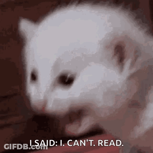 White Cat Says I Said I Can't Read GIF