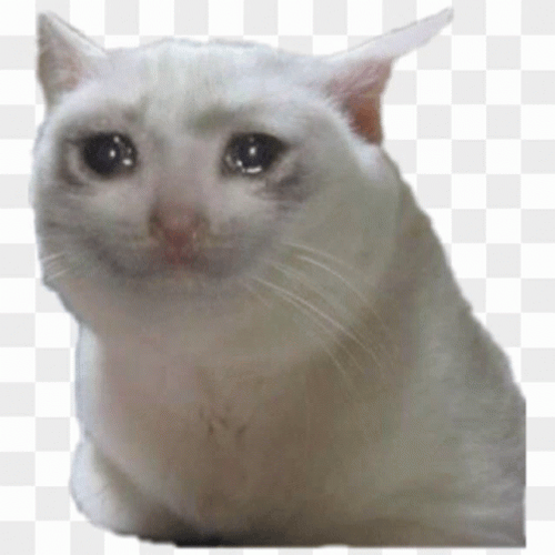 White Cat Screaming Heart Of Sadness GIF