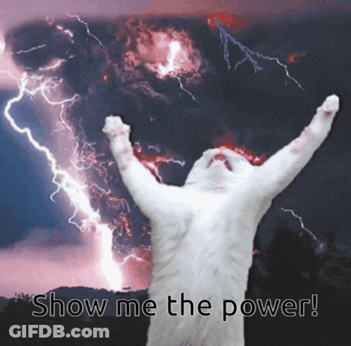 White Cat Showing Power GIF