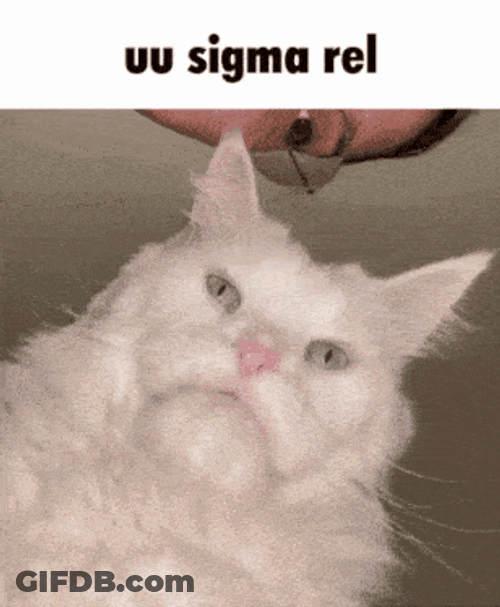 White Cat Sigma Meme GIF