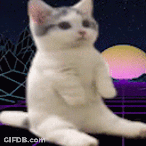 White Cat Sitting Front Of Purple Pink Background GIF